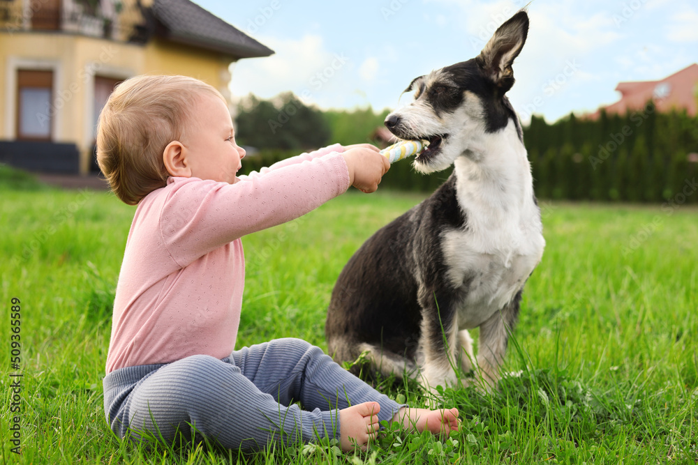 Adorable baby and furry little dog on green grass outdoors Adorable baby and furry little dog on green grass outdoors
