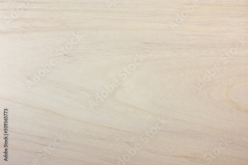 Paulownia (Paulowniaceae) wood texture. Unfinished Paulownia. High resolution, Sharp to the corners. A wood commonly used for it's light weight properties and resonant character. photo