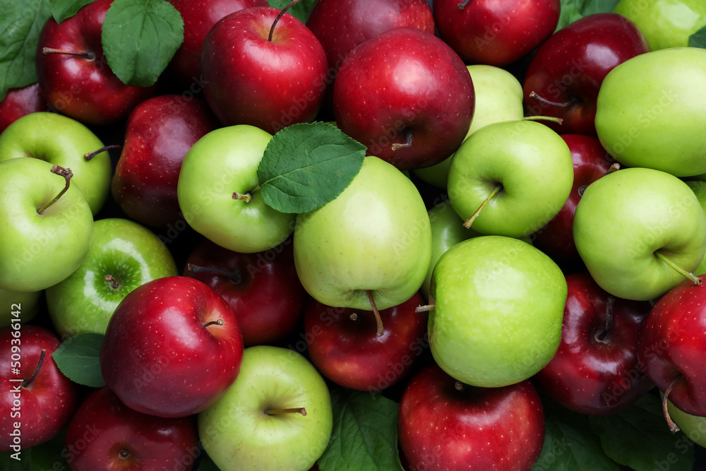Fresh ripe green and red apples as background, top view Fresh ripe green and red apples as background, top view