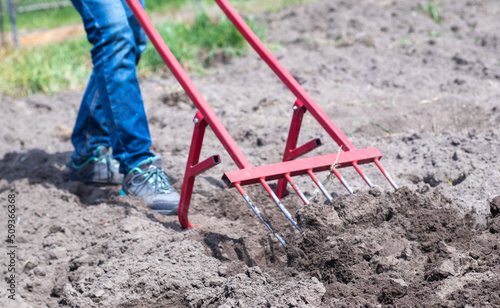 A farmer in jeans digs the ground with a red fork-shaped shovel. A miracle shovel, a handy tool. Manual cultivator. The cultivator is an efficient hand tool for tillage. Loosening the bed.