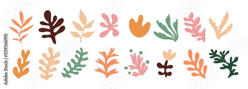 Fototapeta Naklejka Na Ścianę i Meble -  Set of hand drawn exotic jungle leaves, flowers and plants. Abstract modern trendy vector illustration. Perfect for posters, instagram posts, stickers.