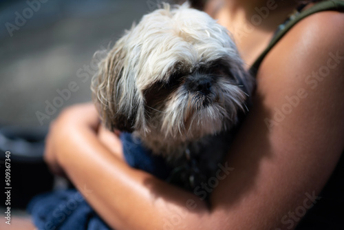 person with dog