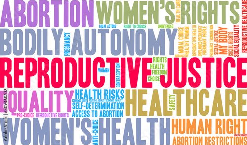 Reproductive Justice Word Cloud on a white background. 