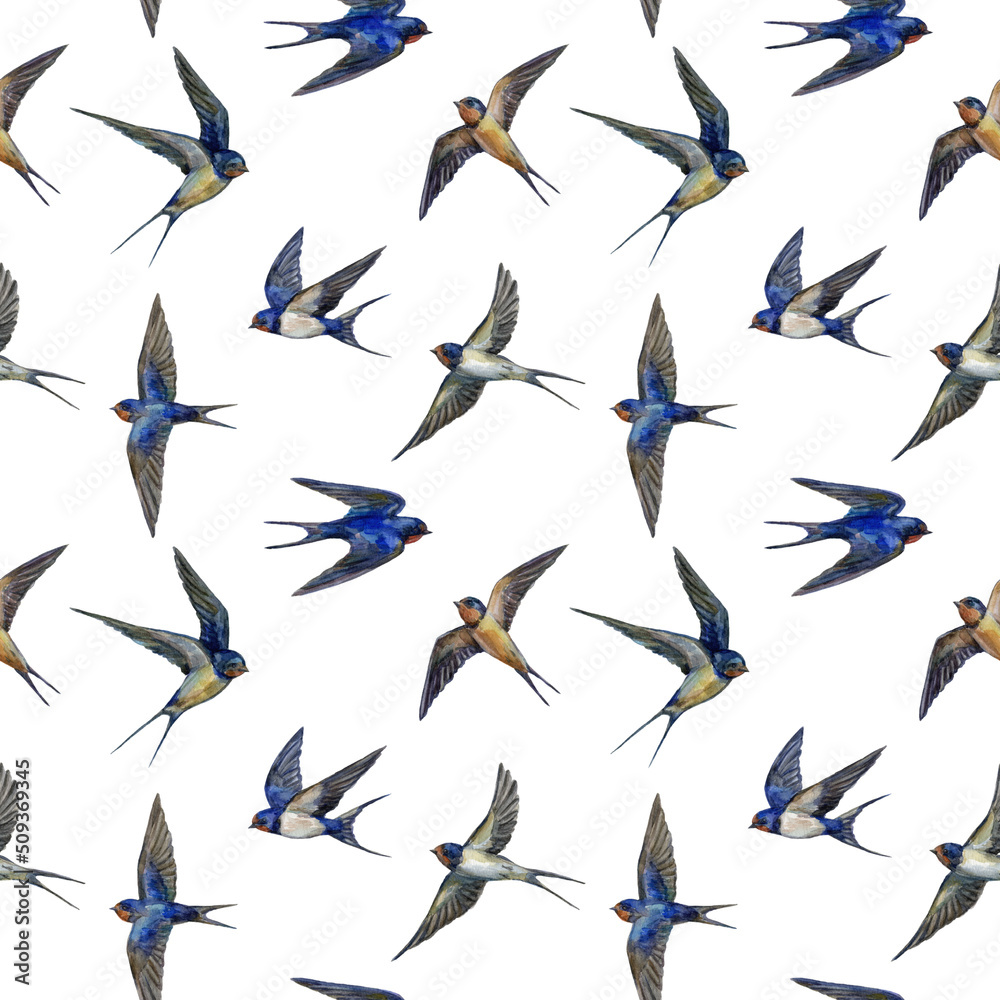 Swallow watercolor seamless pattern Swallow watercolor seamless pattern