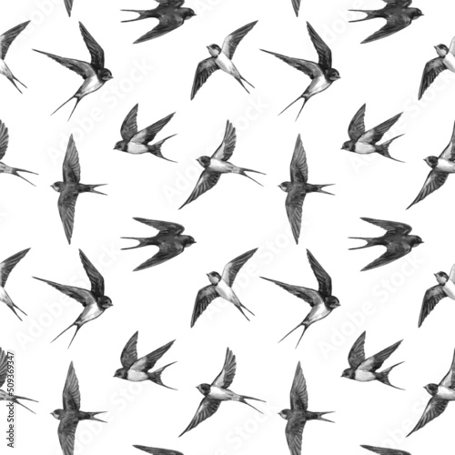 Swallow watercolor seamless pattern photo