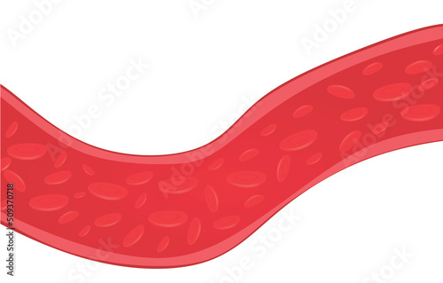 Vascular blood artery. vector illustration