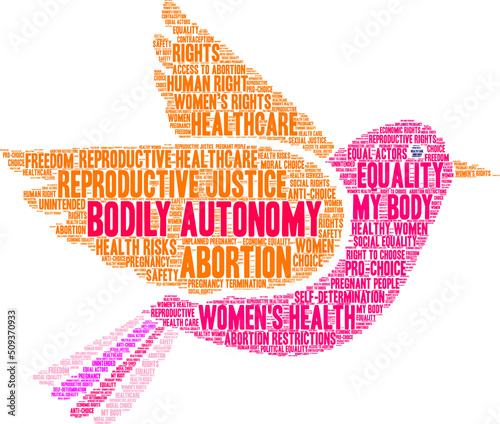 Bodily Autonomy Word Cloud on a white background. 