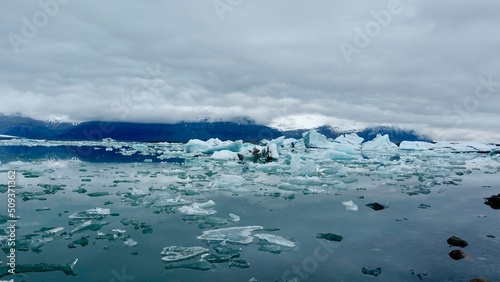 Gletscher Fjord und Gletscher Lagune. Kleine Eisstücke und riesige Eisberge - alles mit bewölktem Himmel.
