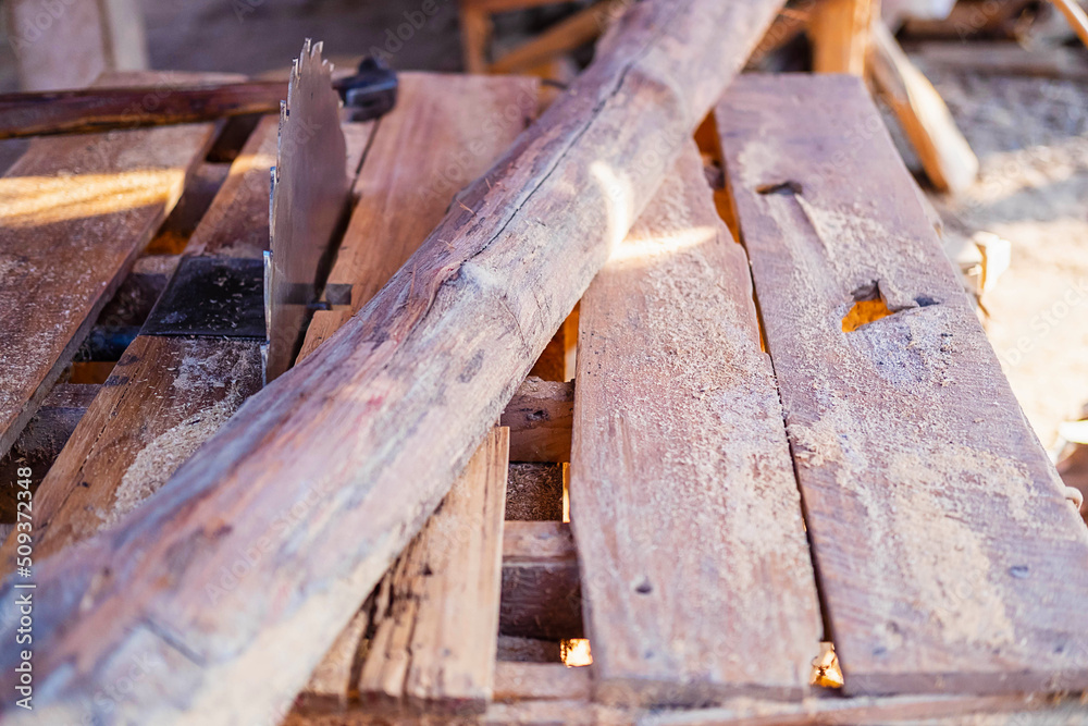 Wood industry With saw blade and wood Wood industry With saw blade and wood