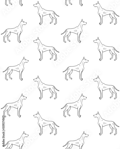Vector seamless pattern of hand drawn doodle sketch great dane dog isolated on white background © Sweta