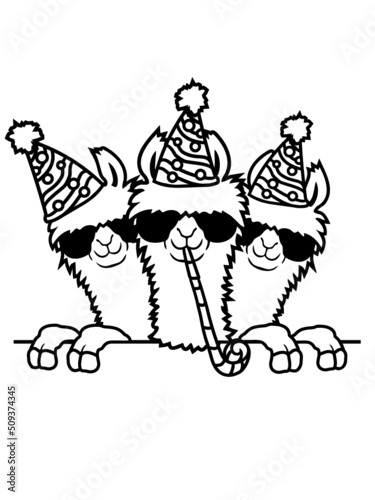 Geburtstag feiern Party Lamas 