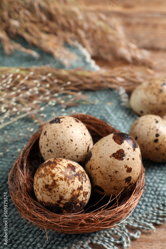 Nest with quail eggs on table, closeup