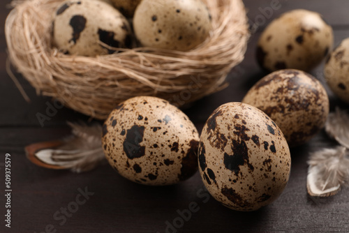 Quail eggs and feathers near nest on wooden table, closeup