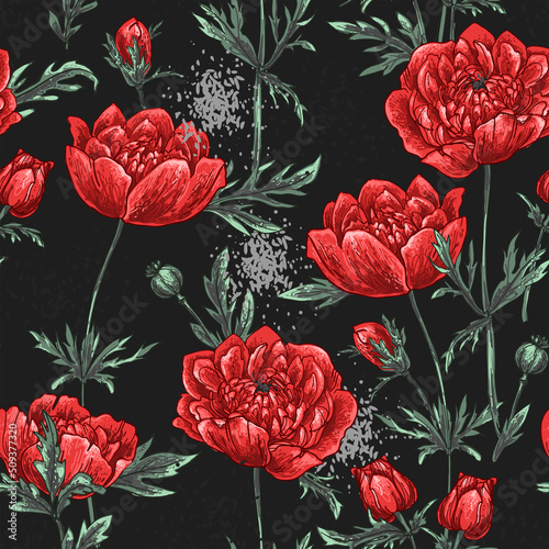 Wallpaper Mural Poppies Pattern Flowers vector. Drawn by a color on a white background. Flowers for the memorial. Remembrance day.  Torontodigital.ca