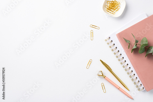 Business concept. Top view photo of workspace pink diaries clips stylish pens and eucalyptus sprig on isolated white background with copyspace