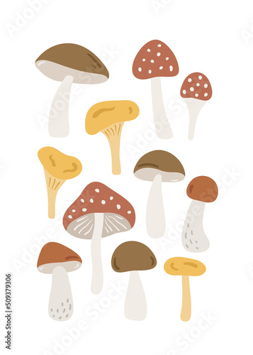 Hand drawn card with forest mushrooms. Cute childish illustration with woodland plants. Charming poster for nursery design, prints and apparel. Scandinavian vector illustration