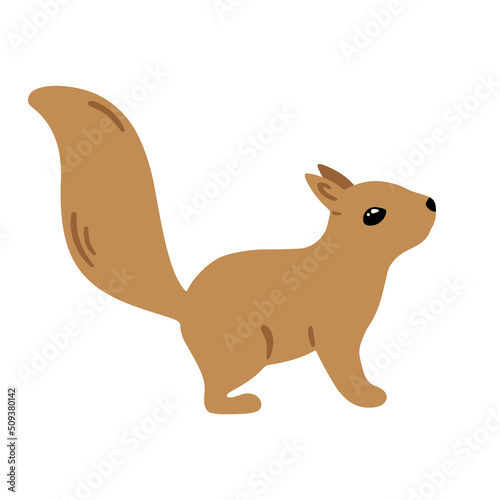Hand drawn illustration with charming squirrel. Cute forest character. Vector lovely squirrel in flat style isolated on white background. Cartoon woodland creature. Childish colorful illustration