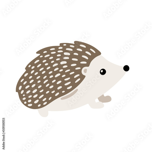 Hand drawn illustration with charming little hedgehog. Cute forest character. Vector lovely hedgehog in flat style isolated on white background. Cartoon woodland creature. Childish illustration