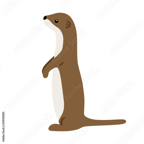 Hand drawn illustration with charming little weasel. Cute forest character. Vector lovely weasel in flat style isolated on white background. Cartoon woodland creature. Childish illustration