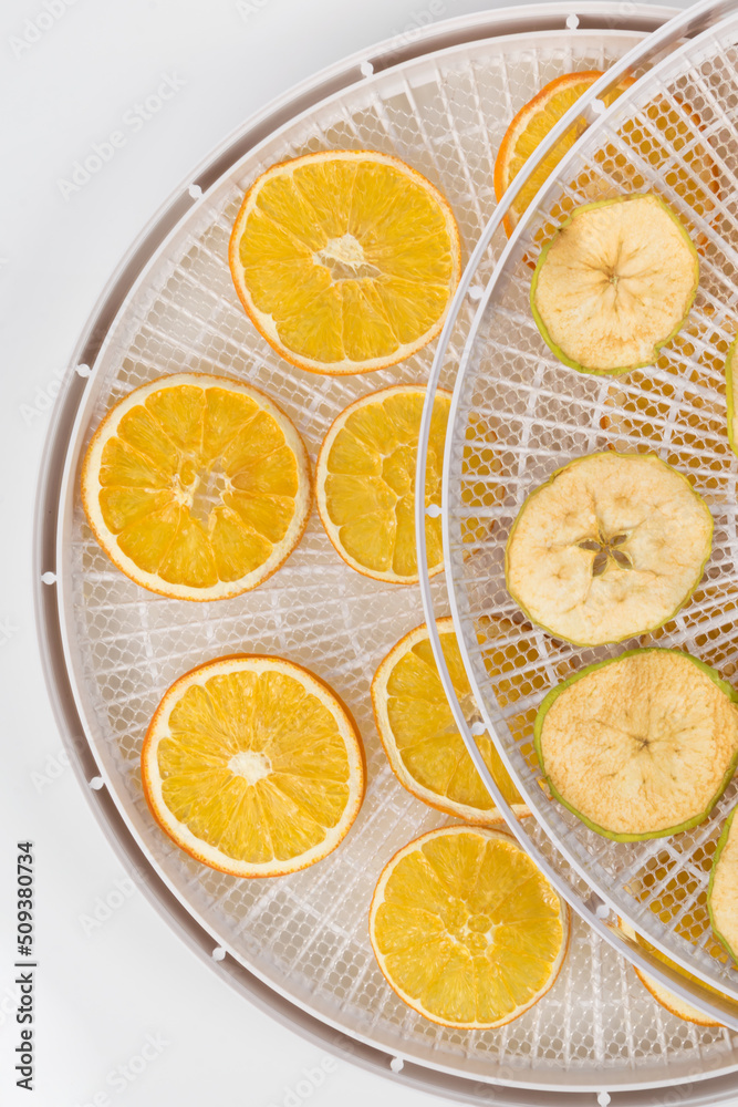 apple and orange frips on dryer grid top view, close-up apple and orange frips on dryer grid top view, close-up