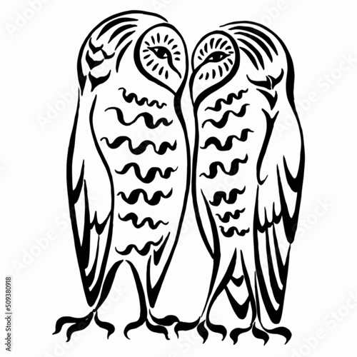 Two owls stylized black and white ink drawing. Black and white linear drawing. Vector image. Calligraphic drawing.