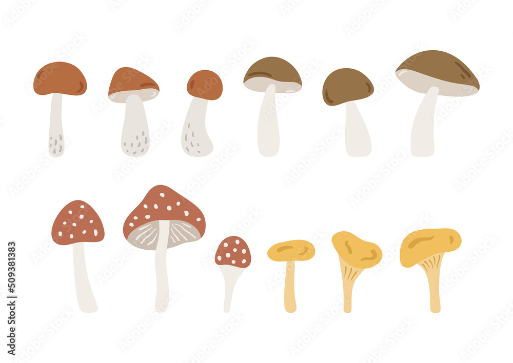 Hand drawn cartoon forest mushrooms: porcini, chanterelle, bolete and amanita. Cute botanicals isolated on white background. Abstract woodland mushrooms in flat style. Childish vector illustration