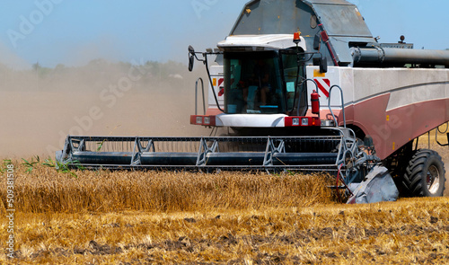 a huge powerful combine harvester collects wheat with large blades and raises heavy dust on a hot day