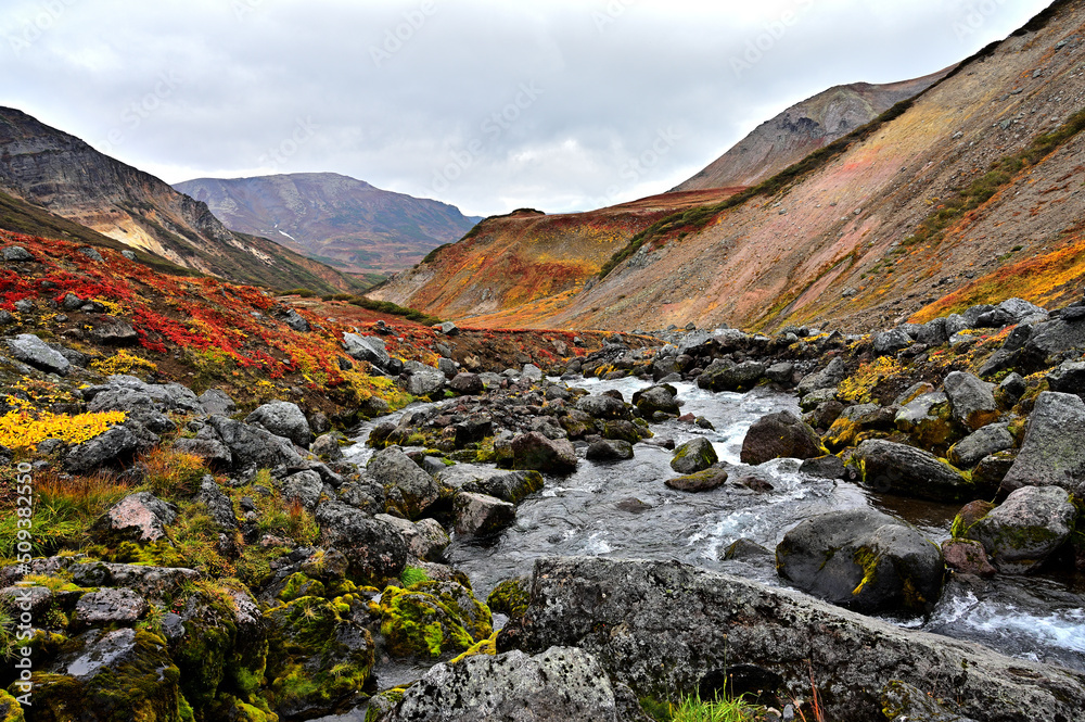 Obraz premium autumn colors of the mountain tundra near the Paratunsky waterfall in Kamchatka