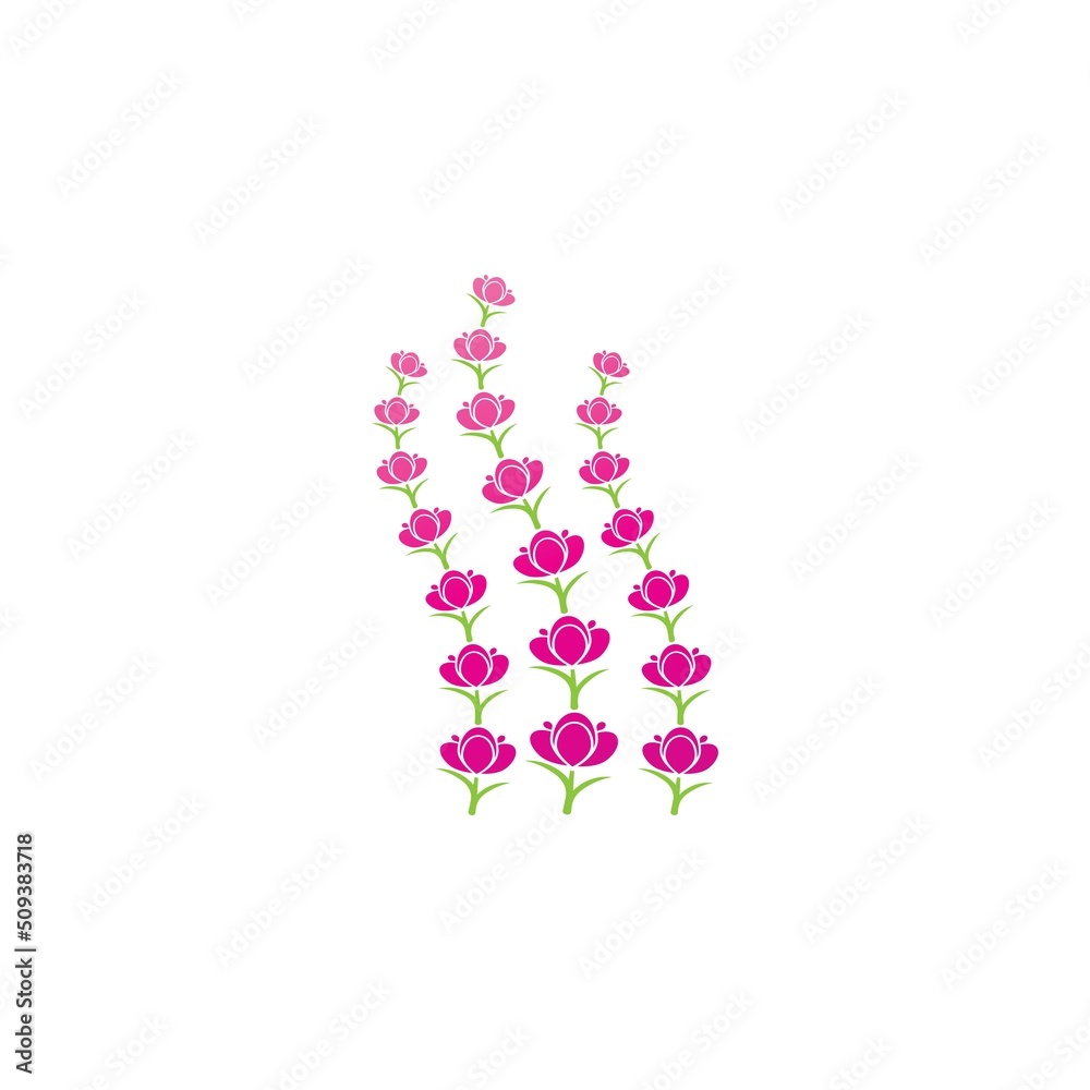 Fresh Lavender flower logo vector