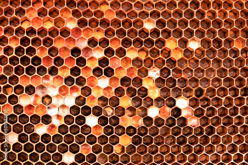 Pollen in wax. Pollen frame in the hive. Macro.