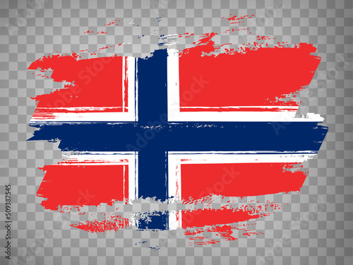 Flag of  Norway brush stroke background.  Flag of Norway on transparent backrgound for your web site design, app, UI.  Stock vector. EPS10.