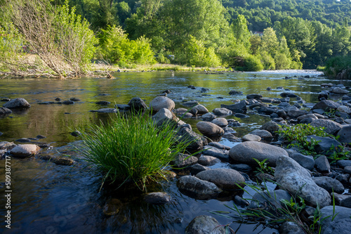 La rivière sauvage de l'Allier dans le département de la Haute-Loire en France au printemps