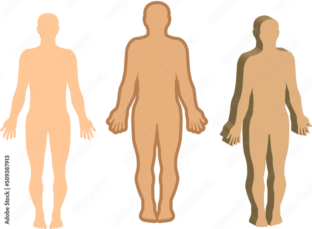 illustration of a person. illustration of human body icon. on white background illustration of a person. illustration of human body icon. on white background