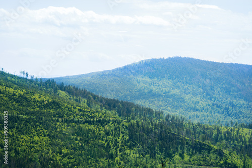 Fototapeta Naklejka Na Ścianę i Meble -  Beautiful mountains landscape. Mountain forest.