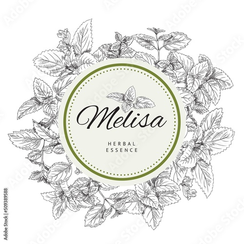 Decorative banner or label with melissa, sketch vector illustration isolated.