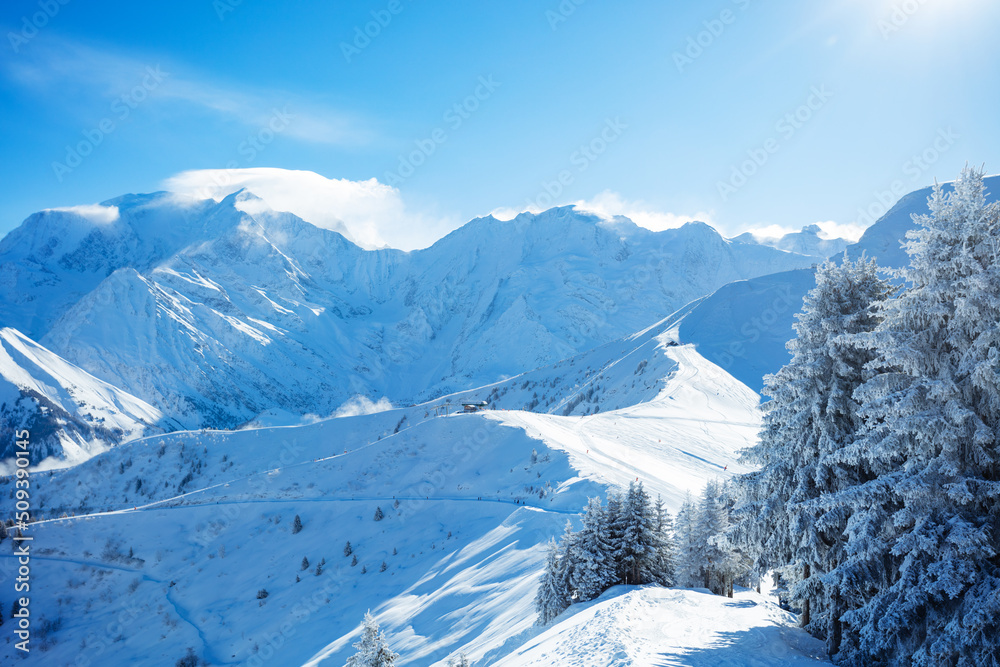 Snow covered fir forest after heavy snowfall over Alps mountains