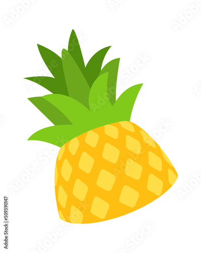 Pineapple Tropical Fruit. Vector illustration