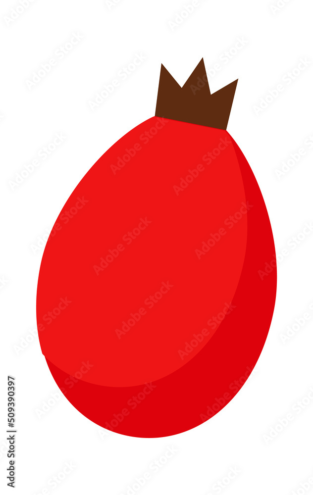 Obraz premium Rose hip berry. Vector illustration