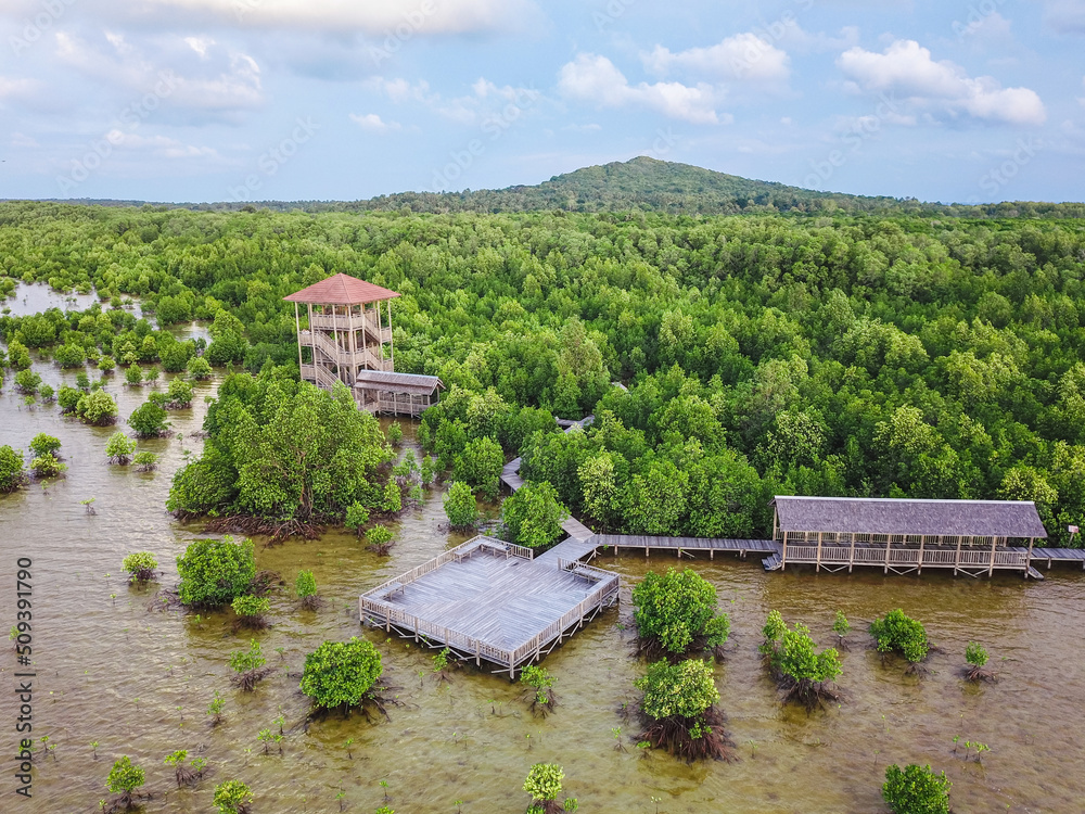 Fototapeta premium Mangrove Forest With Beautiful Viewing Post in Karimun Jawa National Park
