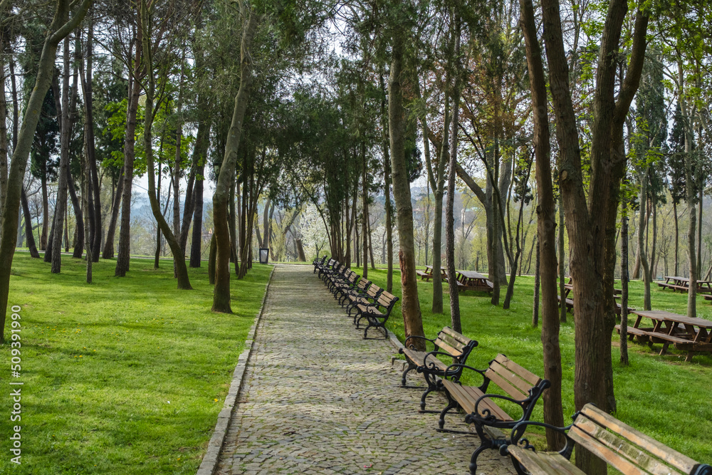 A park in Istanbul in spring. big trees. walking paths, green lawns and picnic tables
