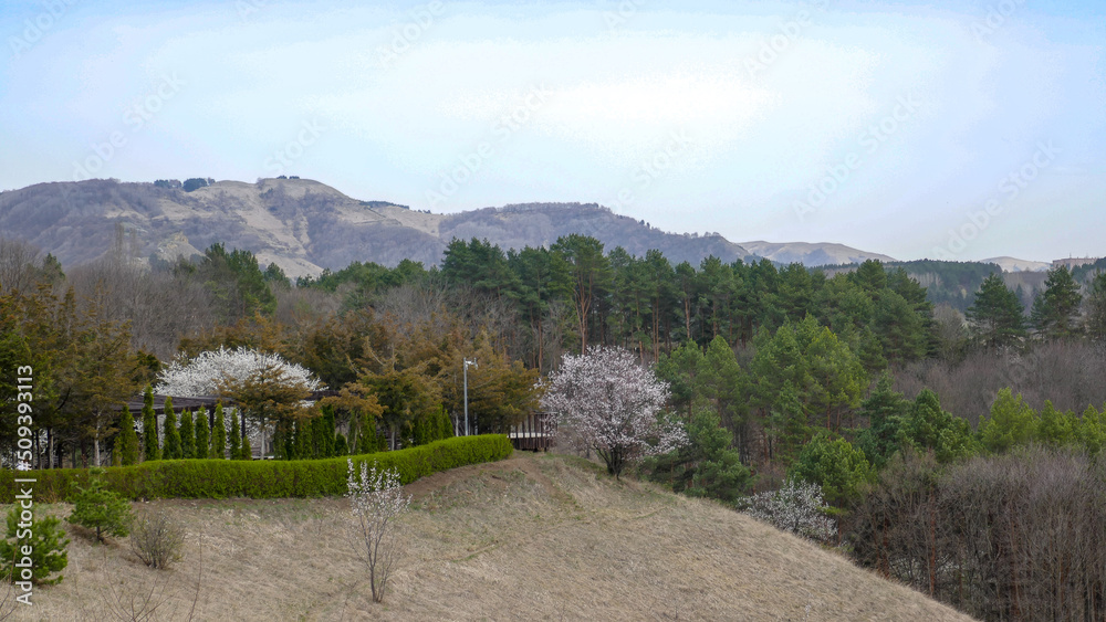 Kislovodsk - a magnificent resort in the south of Russia, Caucasus Kislovodsk - a magnificent resort in the south of Russia, Caucasus