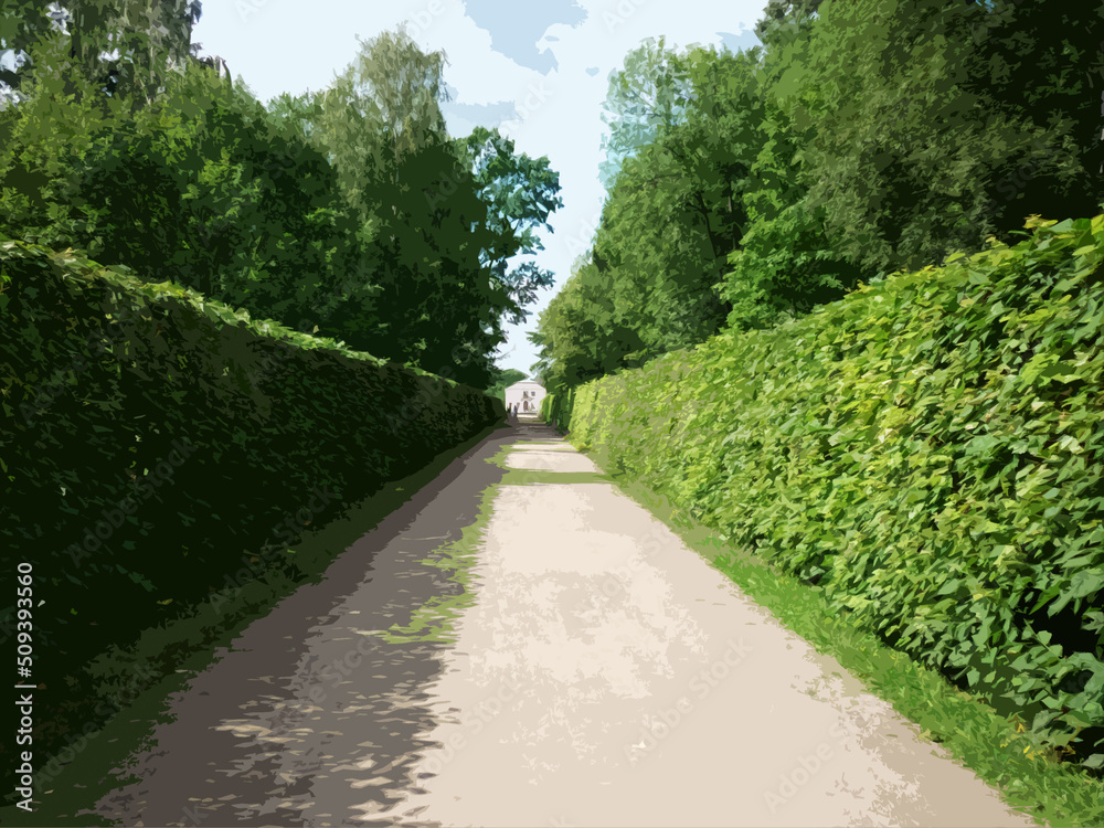 illustration of a road in a summer forest