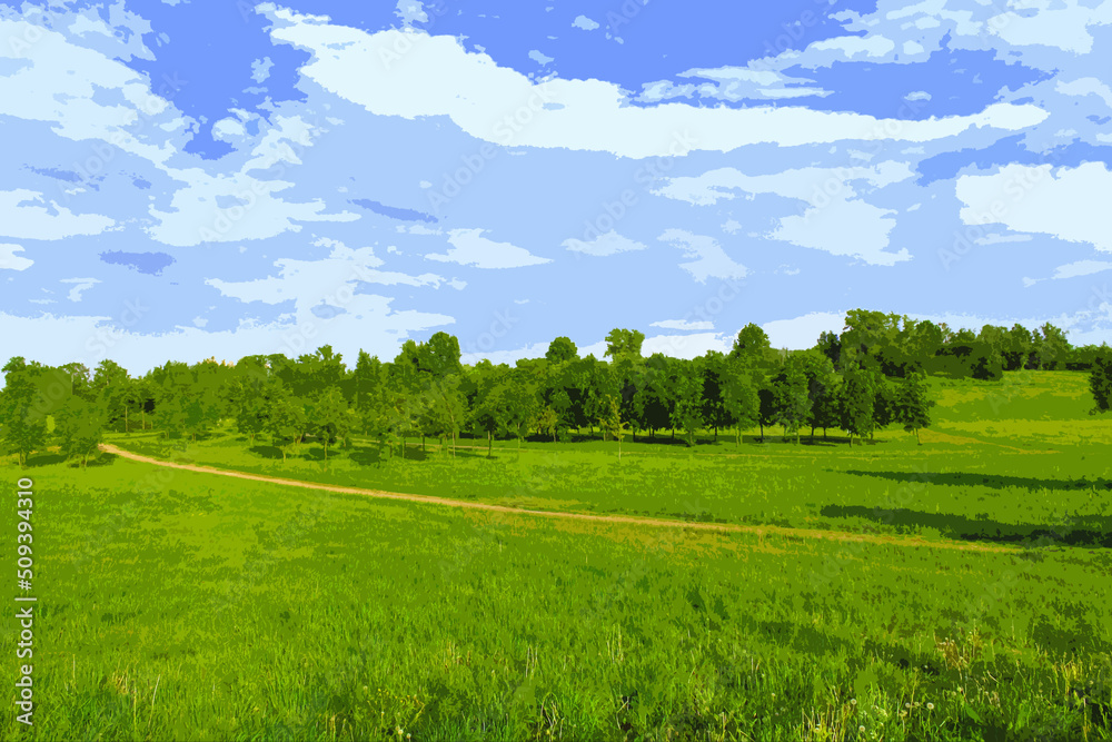 Fototapeta premium summer landscape meadow and forest on the background of blue sky, clouds