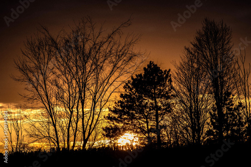 sunset in the field