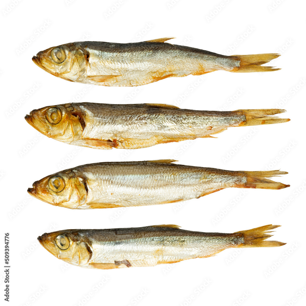 Smoked fish on a white background, salted sprat. Smoked fish on a white background, salted sprat.