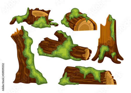 Tree trunks, logs and stumps with moss vector illustrations set. Collection of isometric cartoon drawings of parts of trees with moss in jungle or swamp isolated on white background. Nature concept
