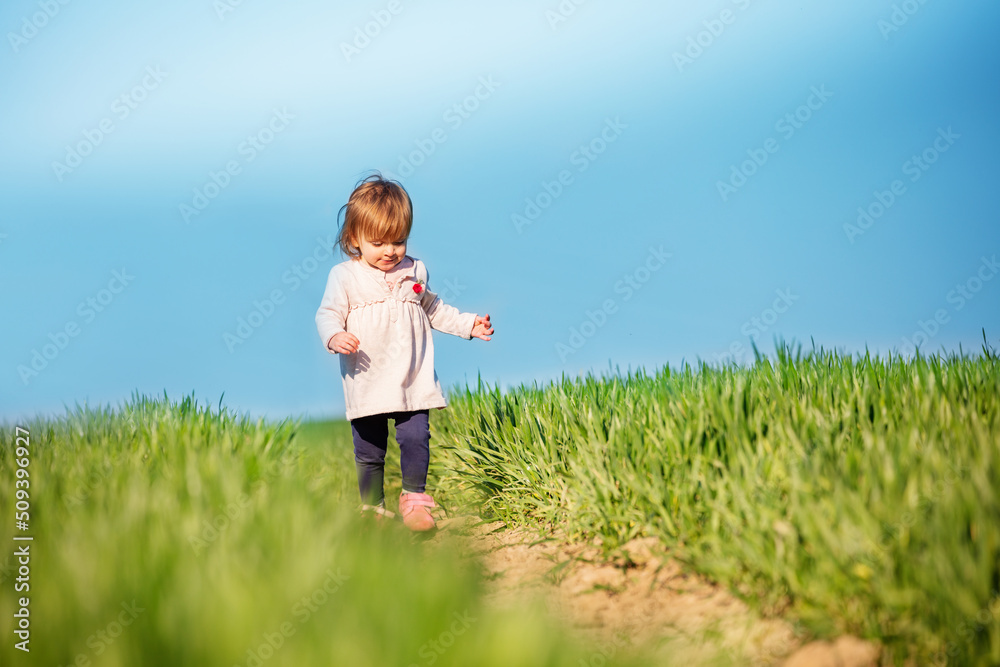 Toddler girl in pink dress walk over clear spring field Toddler girl in pink dress walk over clear spring field