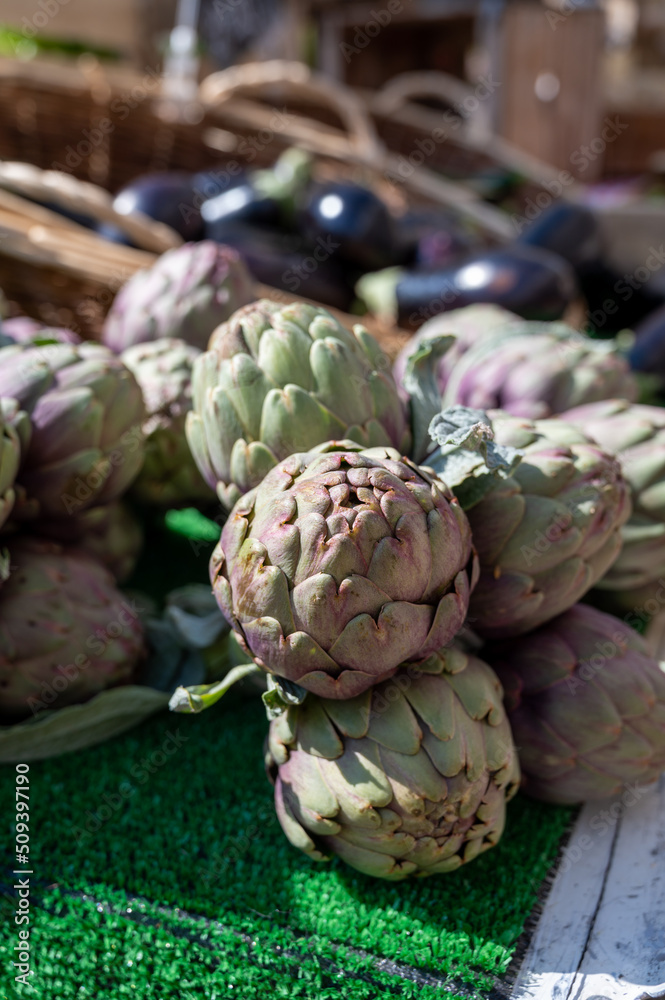 Fototapeta premium Fresh raw heads of artichokes plants for sale on farmers market
