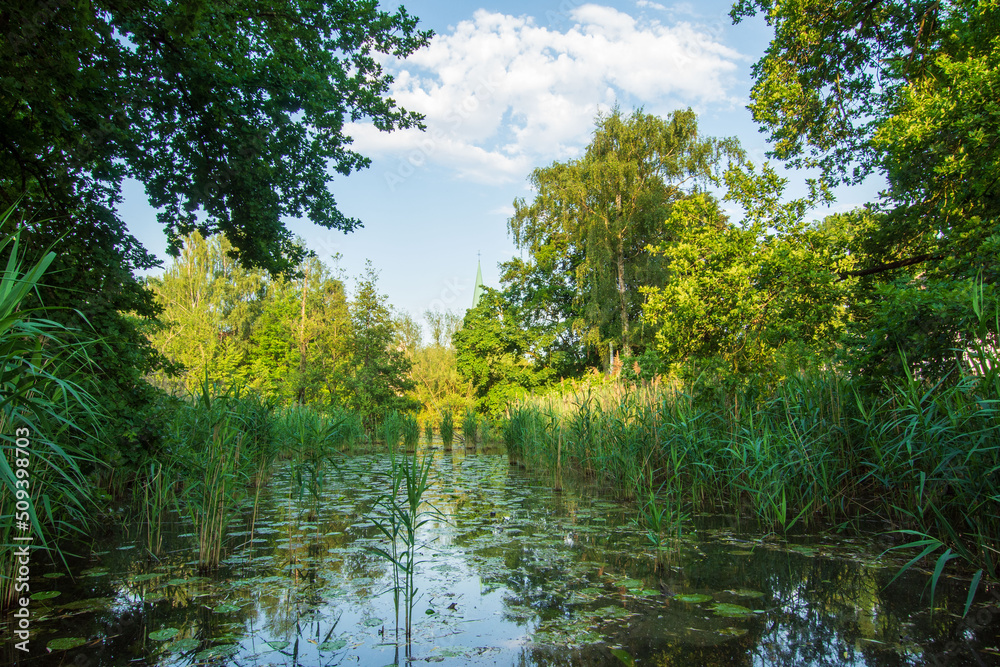 Obraz premium Green foray through Lüdinghausen