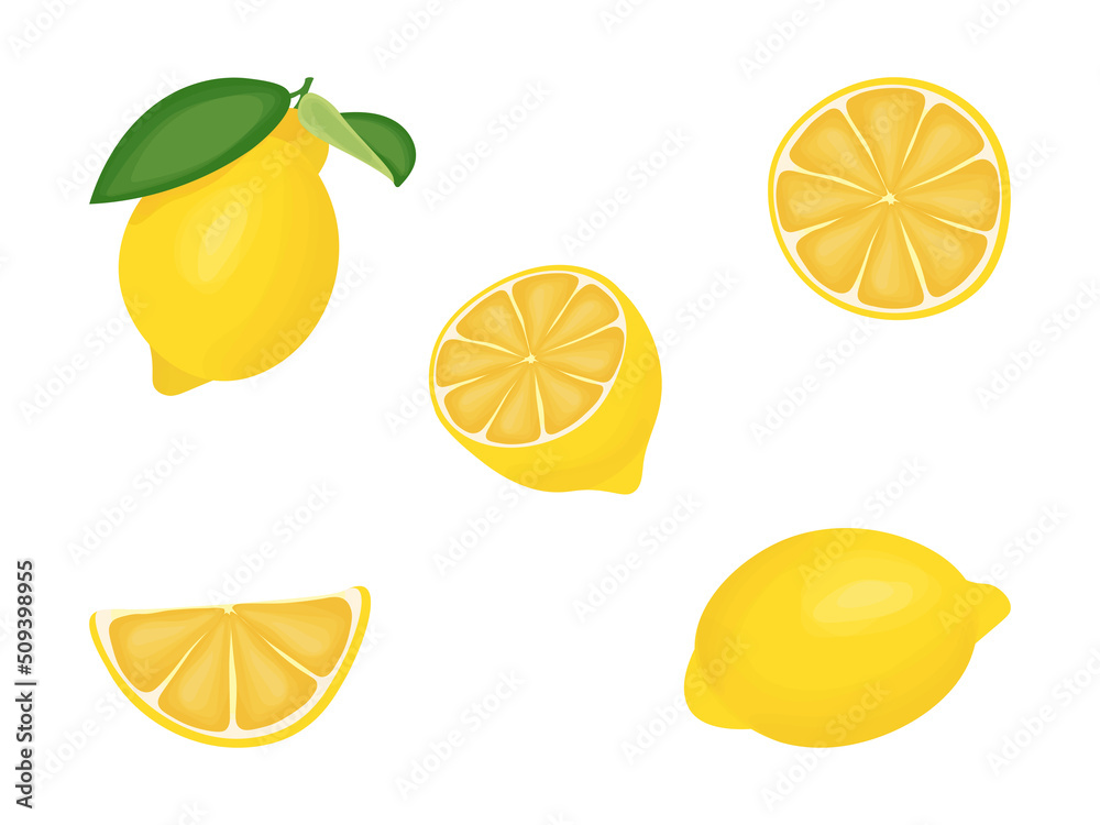 A set of lemon images. Vector illustration